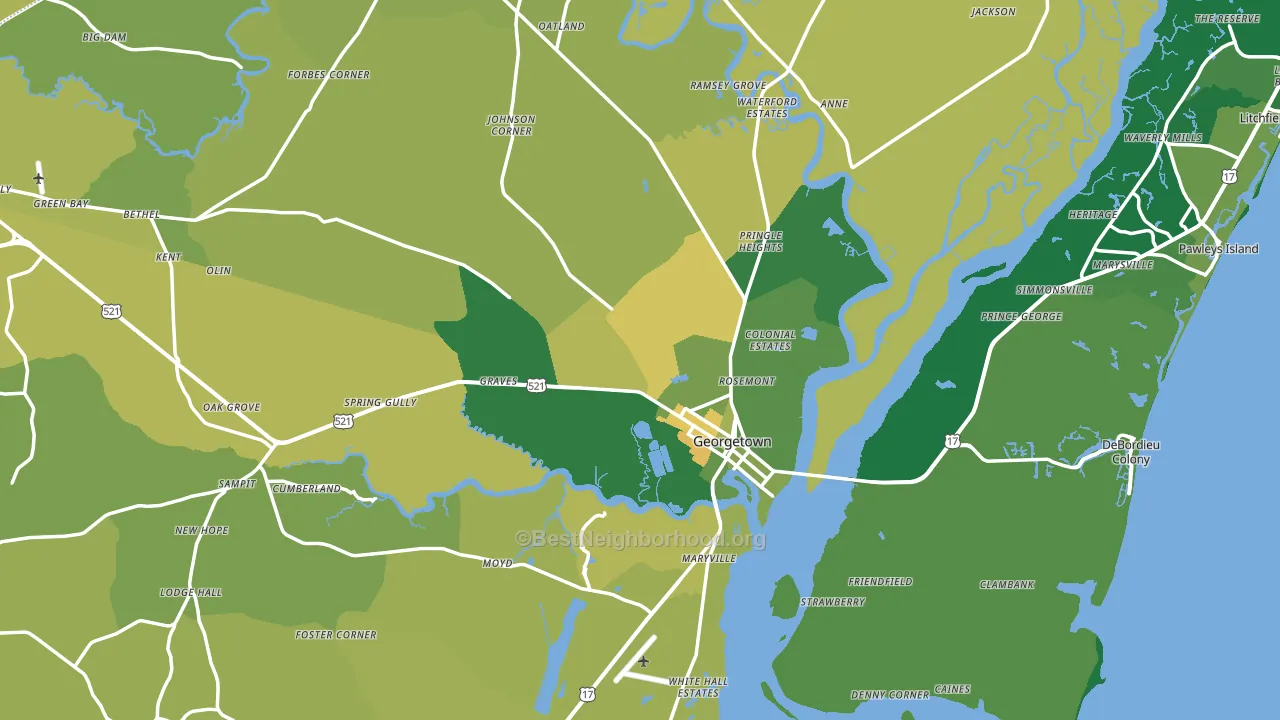 29440, SC block-group voter-turnout map