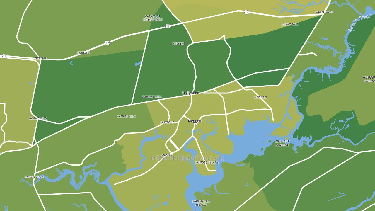 29449, SC block-group voter-turnout map