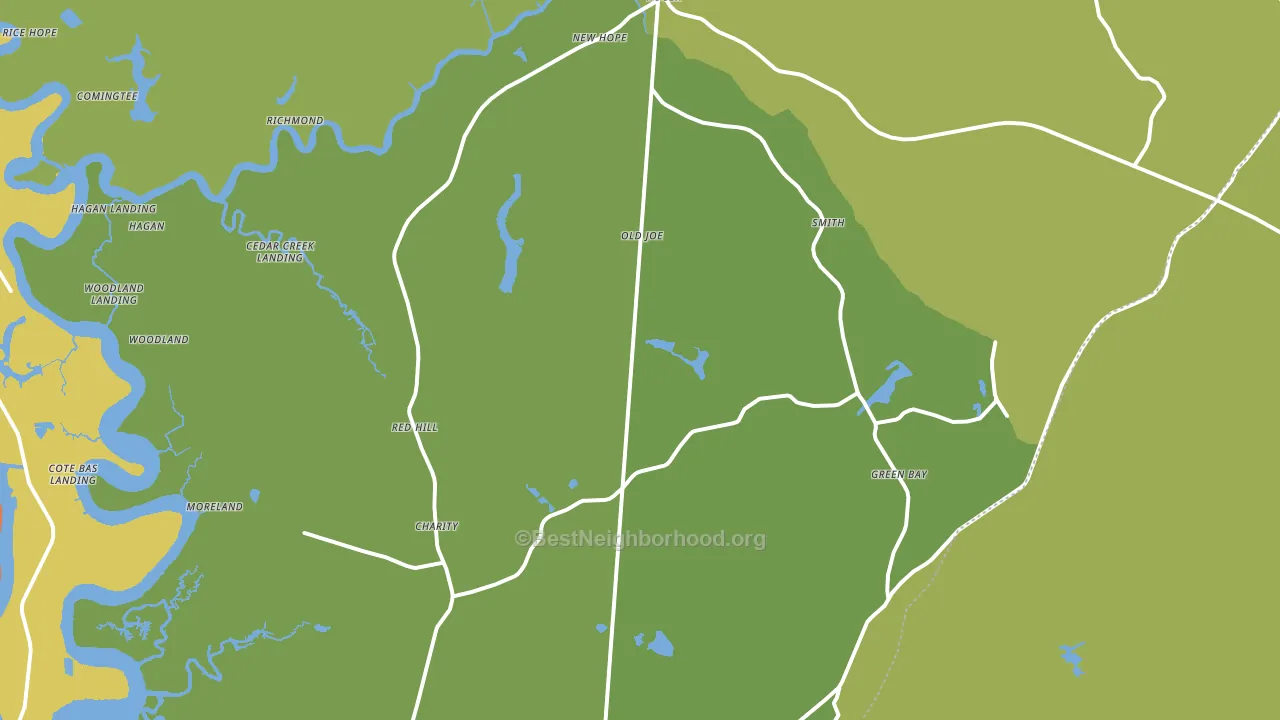 29450, SC block-group voter-turnout map