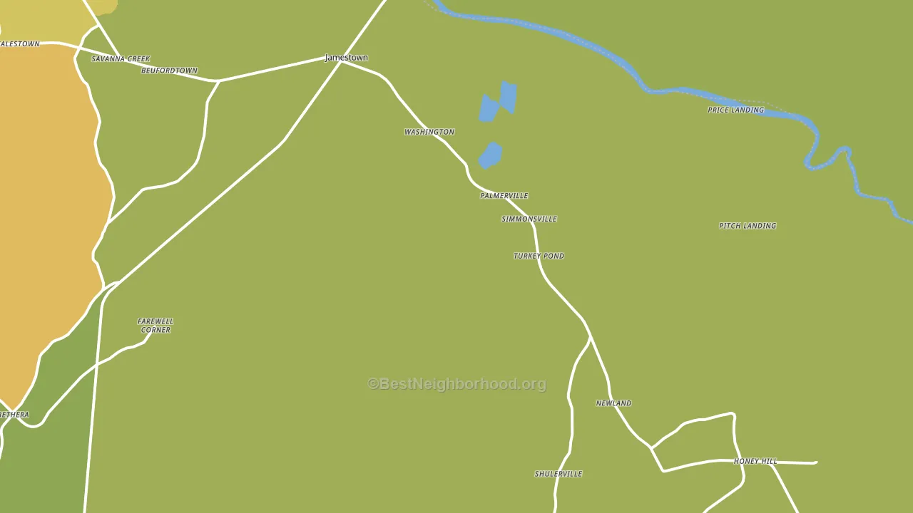 29453, SC block-group voter-turnout map