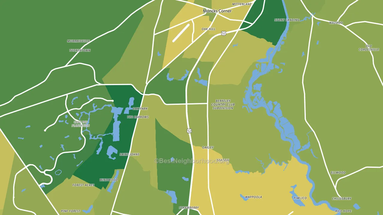 29461, SC block-group voter-turnout map