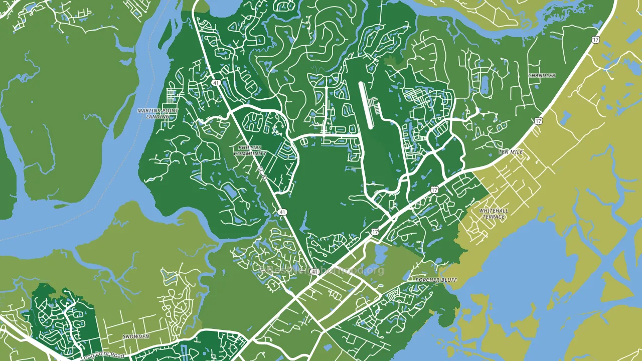 29466, SC block-group voter-turnout map