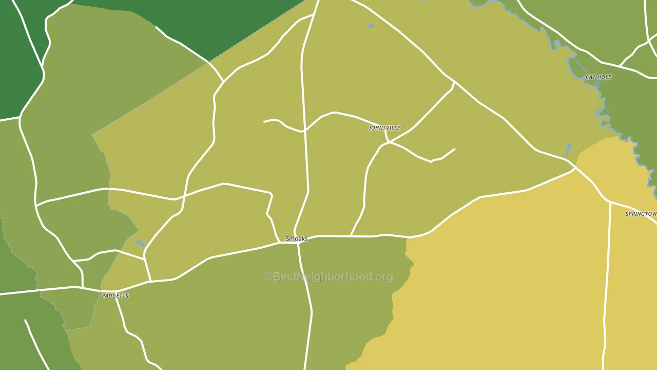 29481, SC block-group voter-turnout map