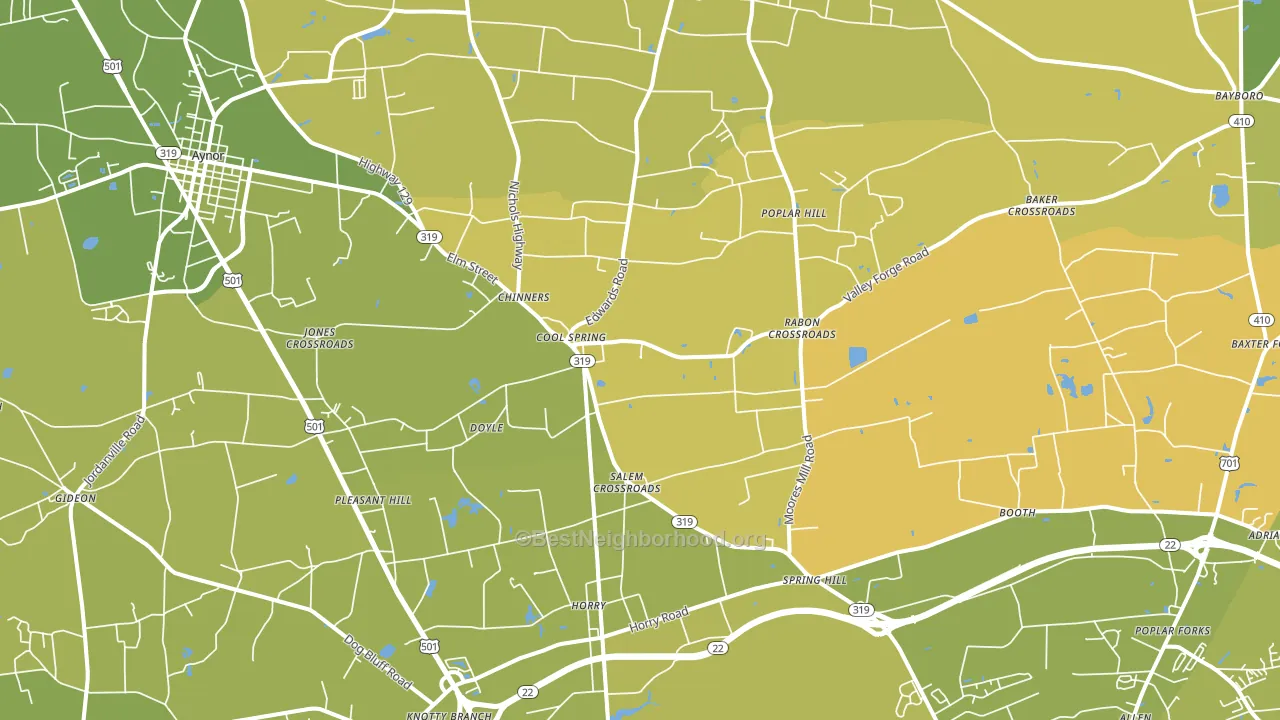 29511, SC block-group voter-turnout map