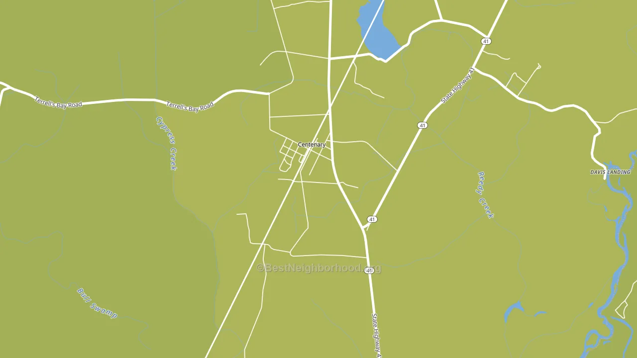 29519, SC block-group voter-turnout map