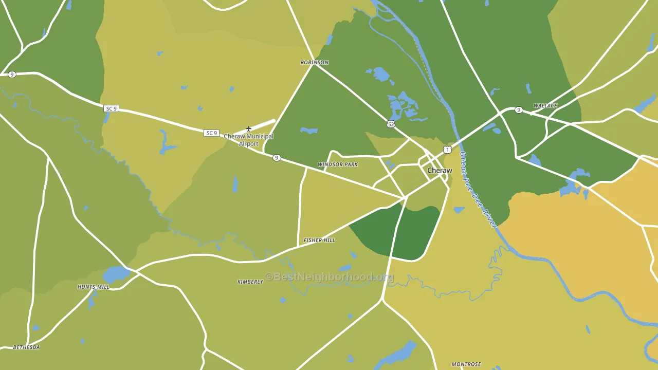 29520, SC block-group voter-turnout map