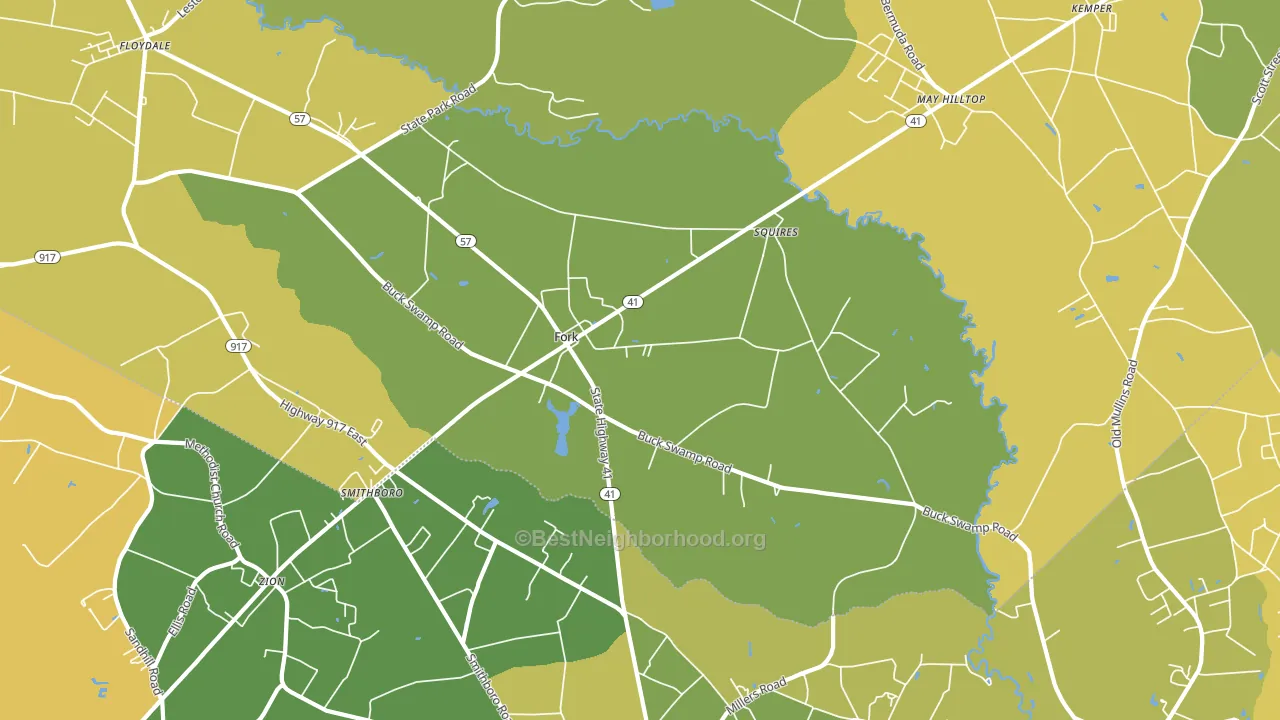 29543, SC block-group voter-turnout map