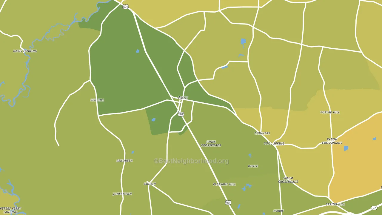 29544, SC block-group voter-turnout map