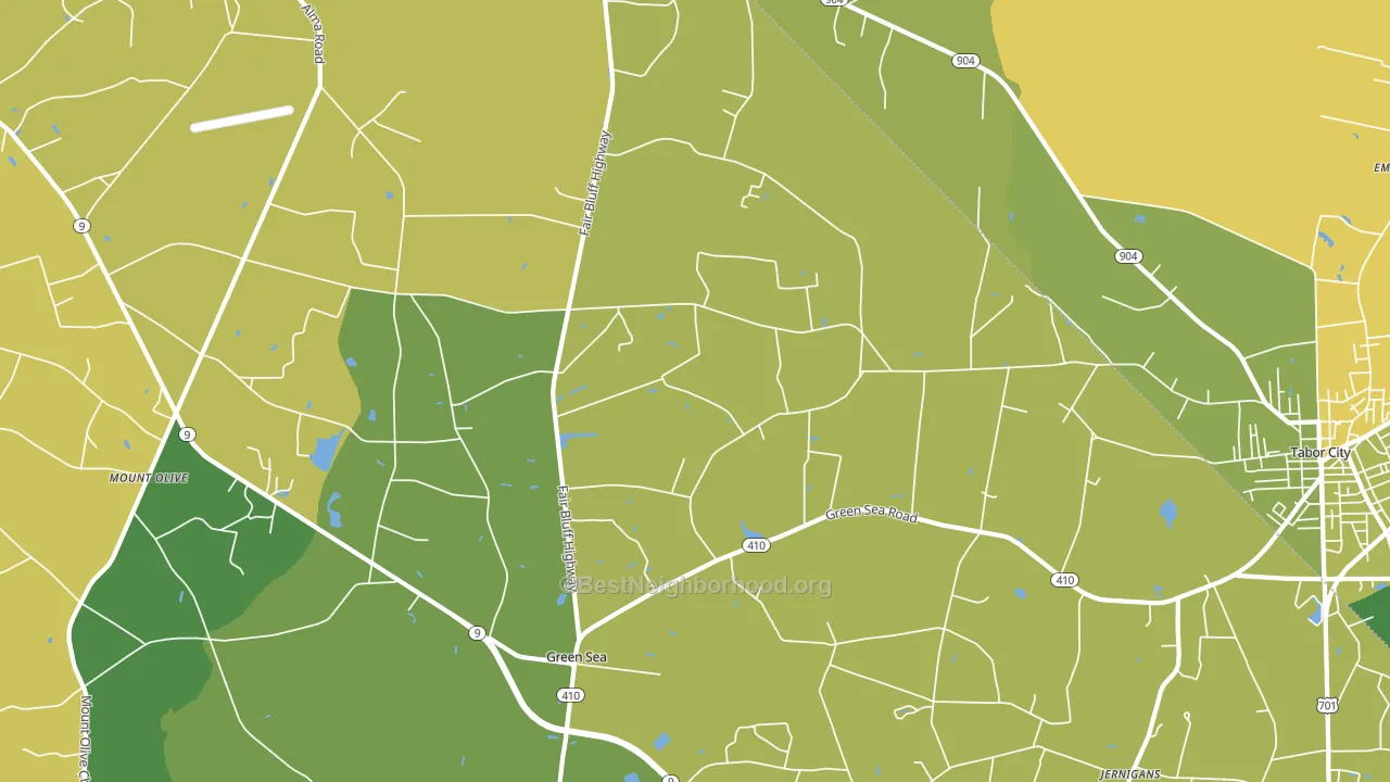 29545, SC block-group voter-turnout map