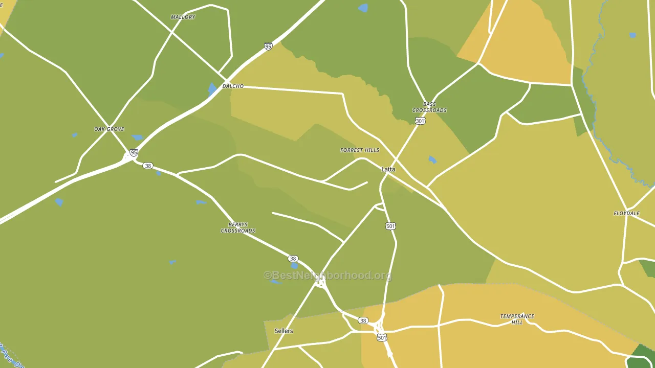 29565, SC block-group voter-turnout map