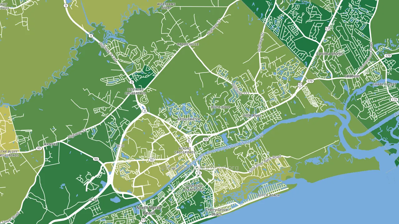 29566, SC block-group voter-turnout map