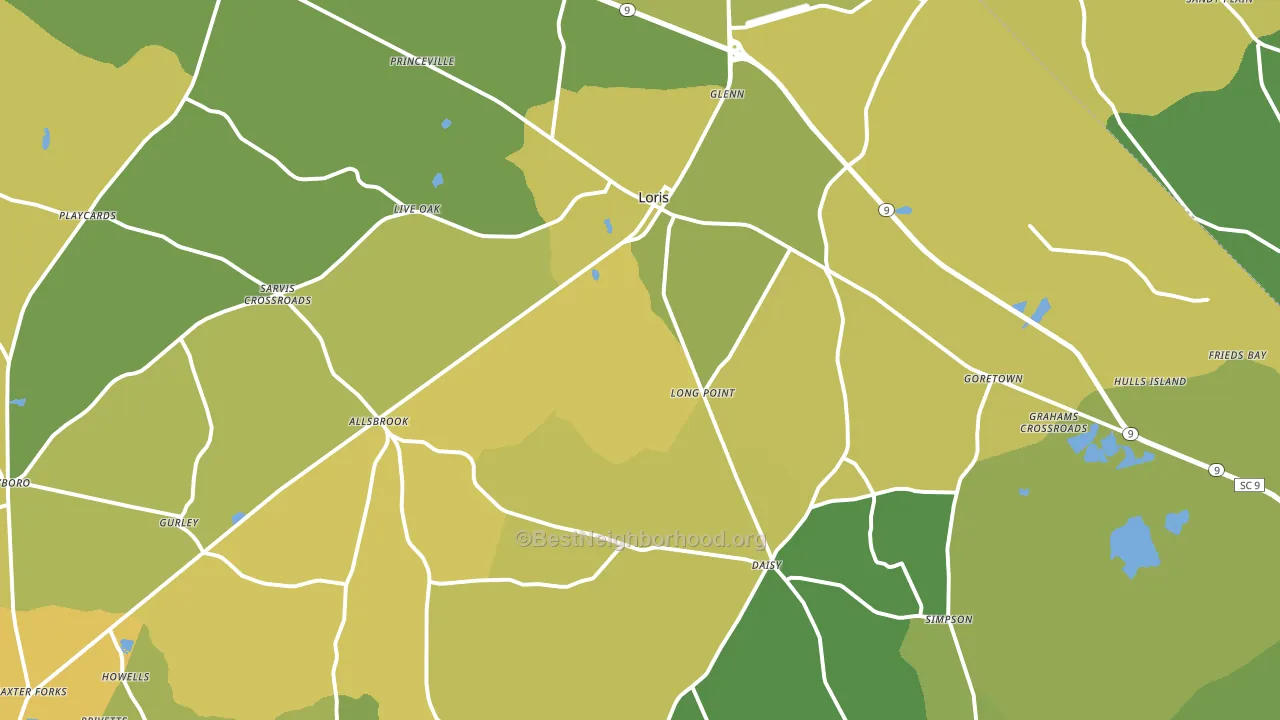 29569, SC block-group voter-turnout map