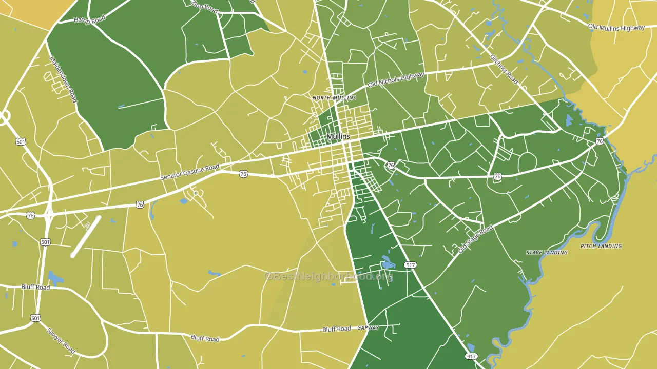 29574, SC block-group voter-turnout map