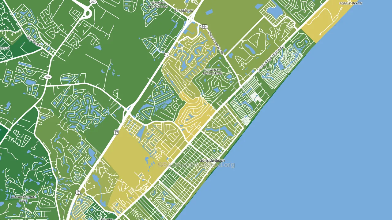 29575, SC block-group voter-turnout map