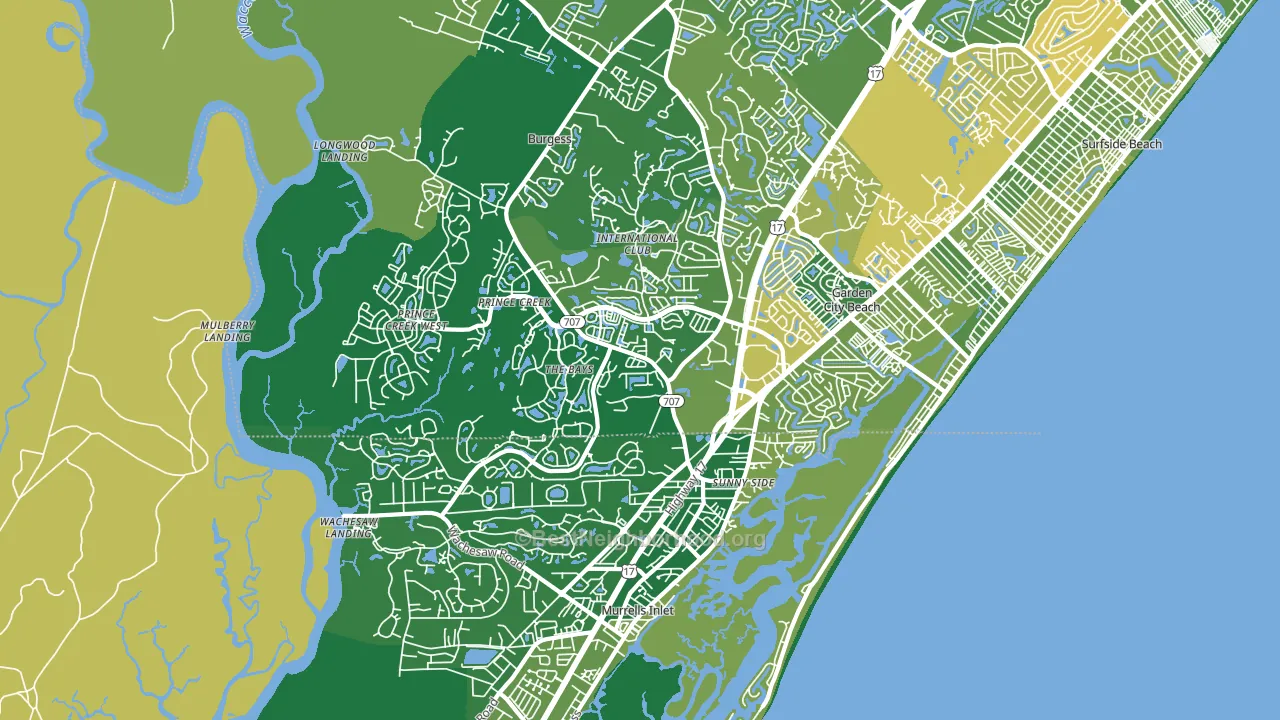 29576, SC block-group voter-turnout map