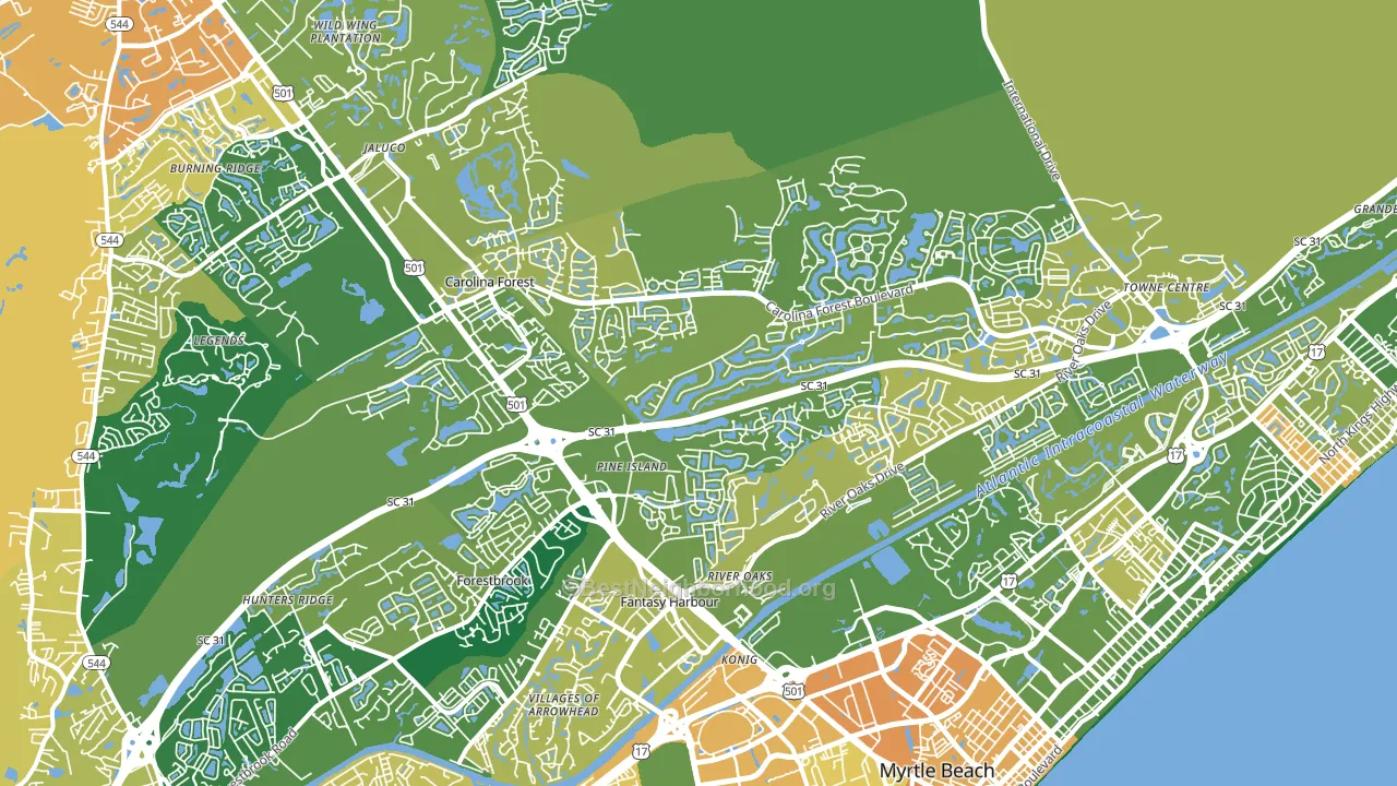 29579, SC block-group voter-turnout map