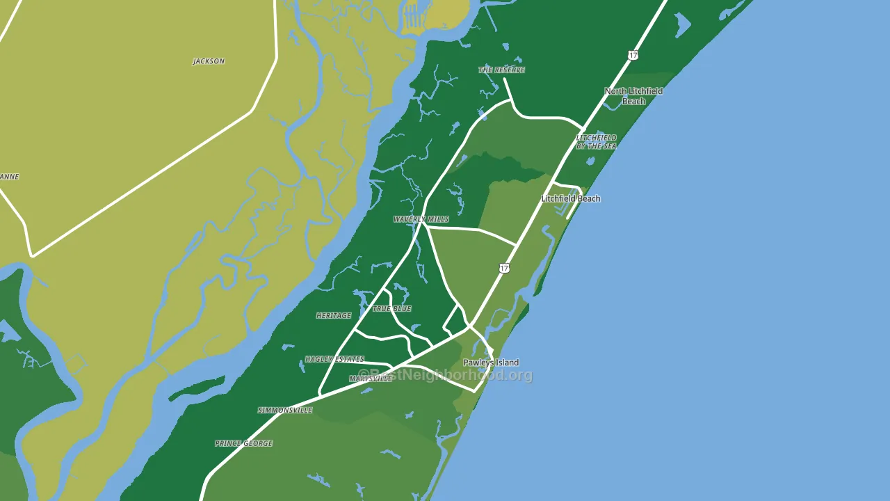 29585, SC block-group voter-turnout map