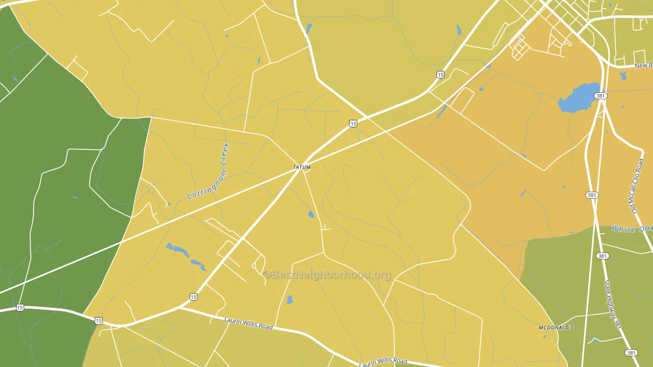 29594, SC block-group voter-turnout map