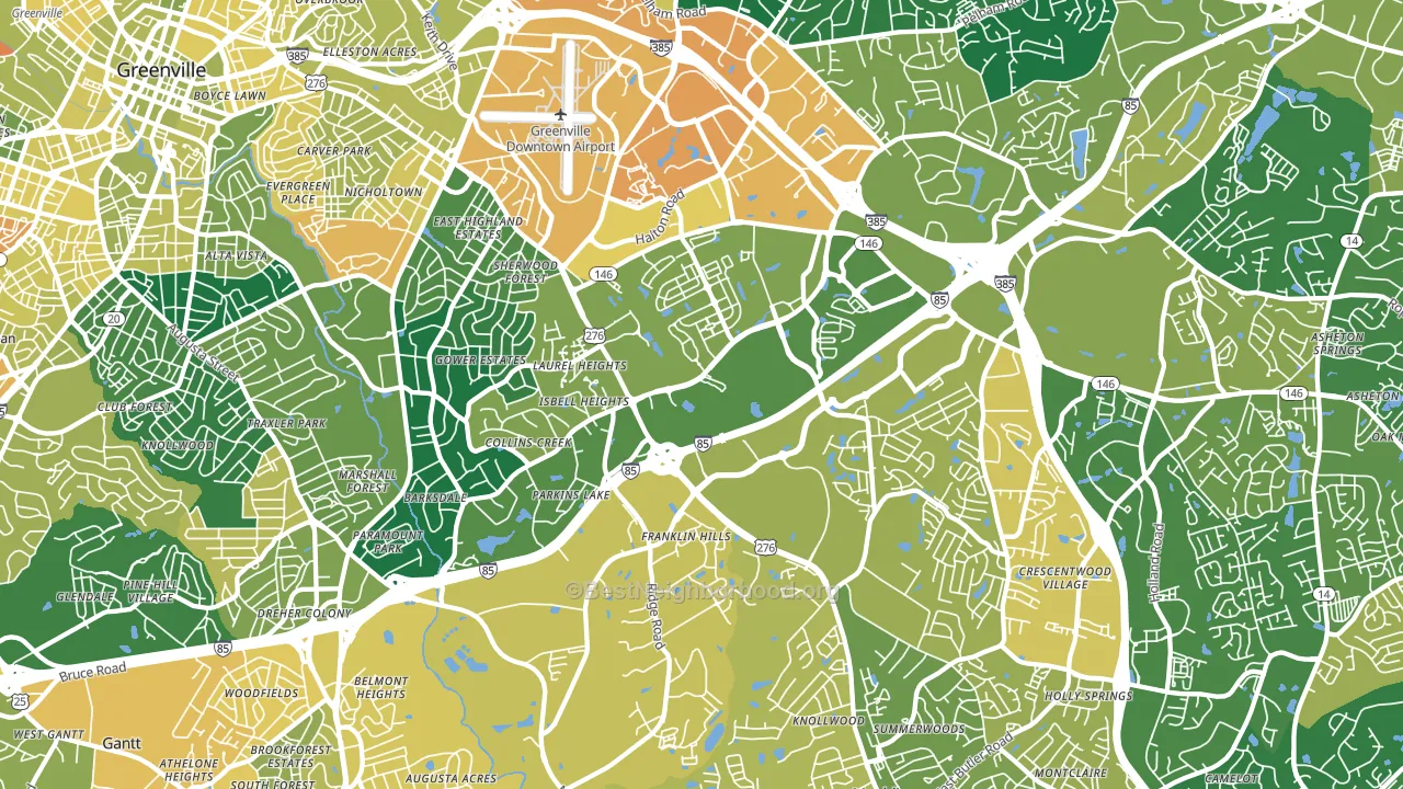 29607, SC block-group voter-turnout map