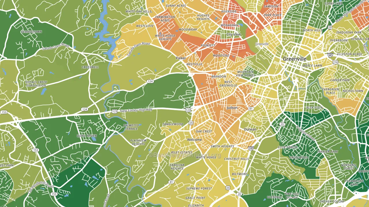 29611, SC block-group voter-turnout map