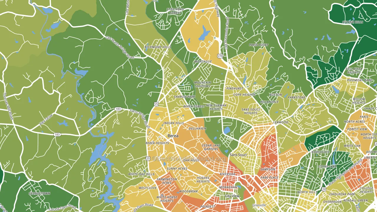 29617, SC block-group voter-turnout map