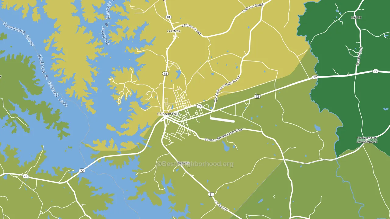 29628, SC block-group voter-turnout map