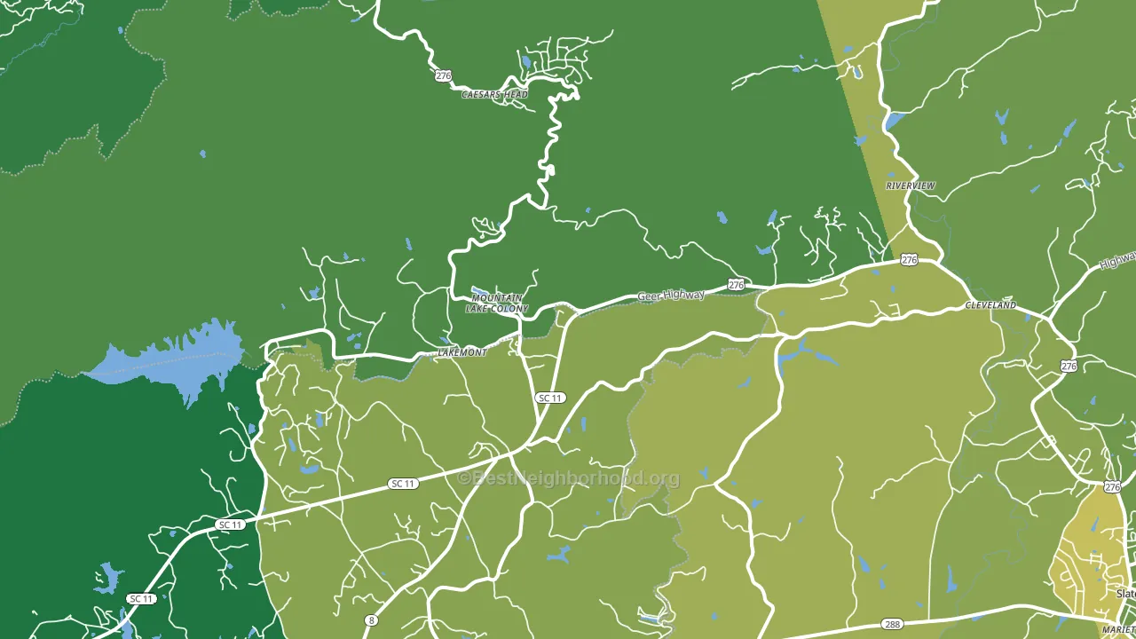 29635, SC block-group voter-turnout map