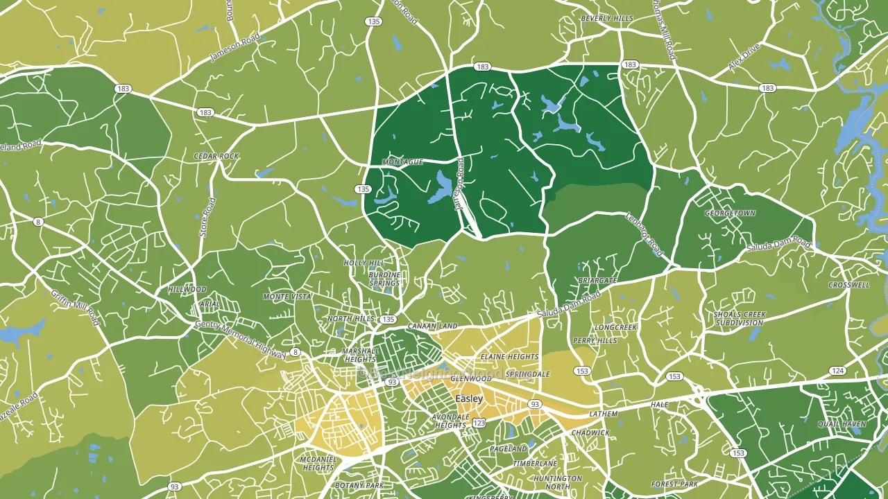 29640, SC block-group voter-turnout map