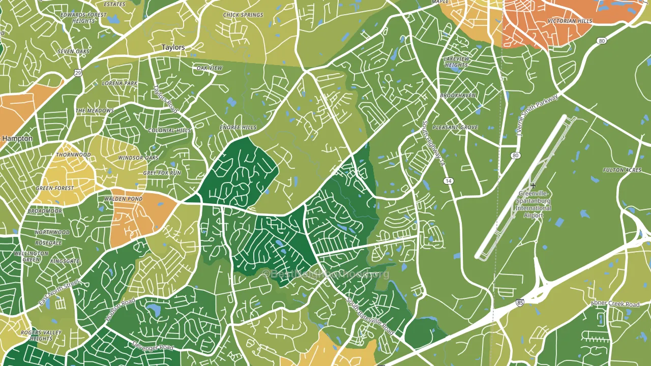 29650, SC block-group voter-turnout map