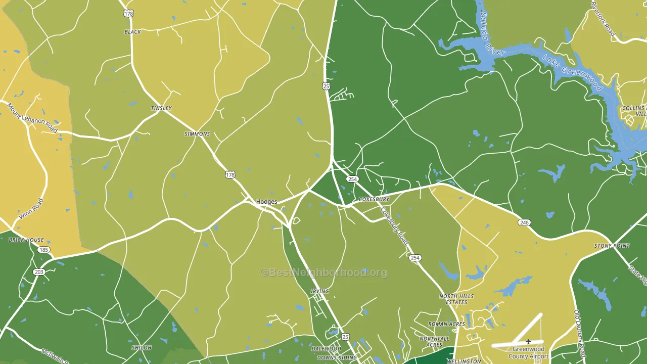 29653, SC block-group voter-turnout map