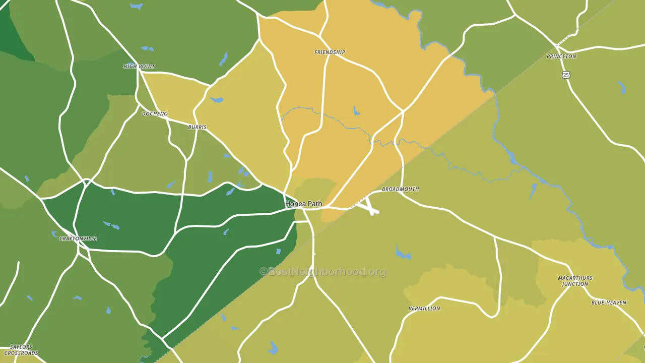 29654, SC block-group voter-turnout map