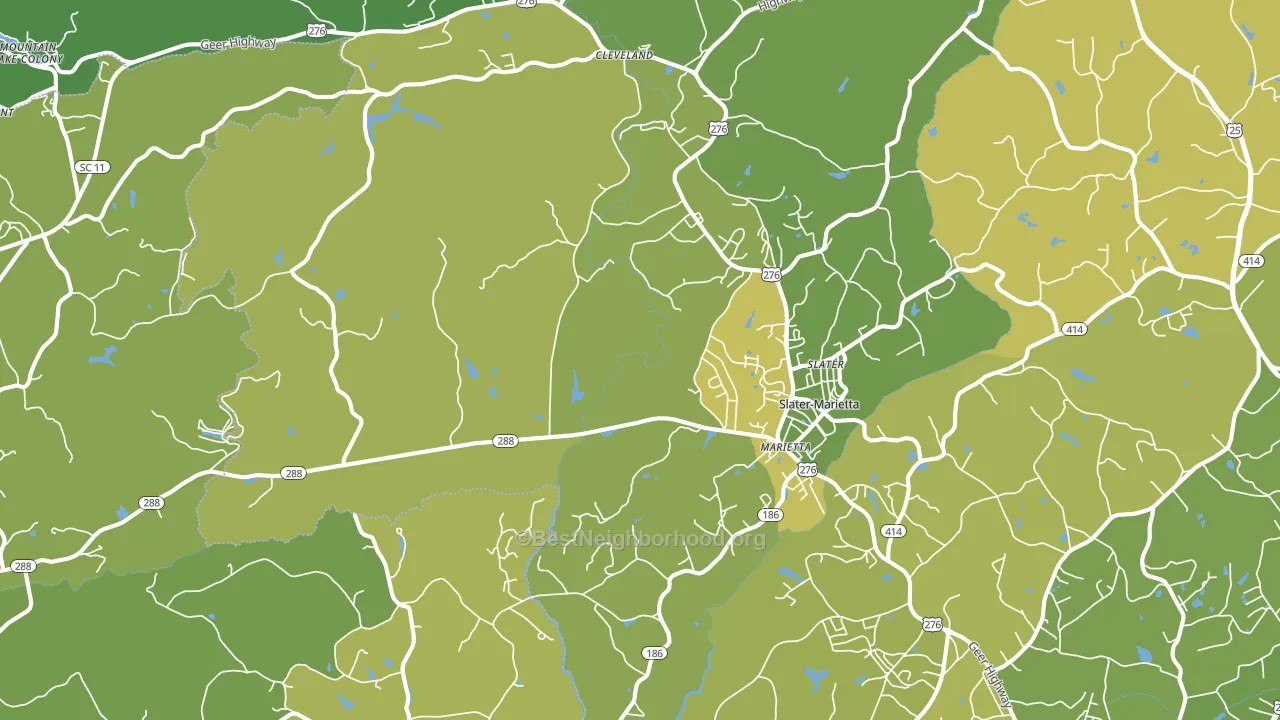 29661, SC block-group voter-turnout map