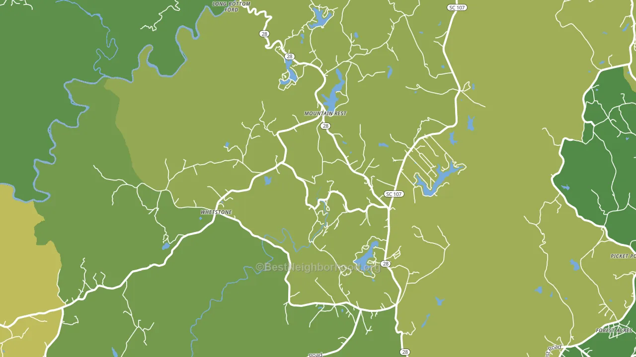 29664, SC block-group voter-turnout map