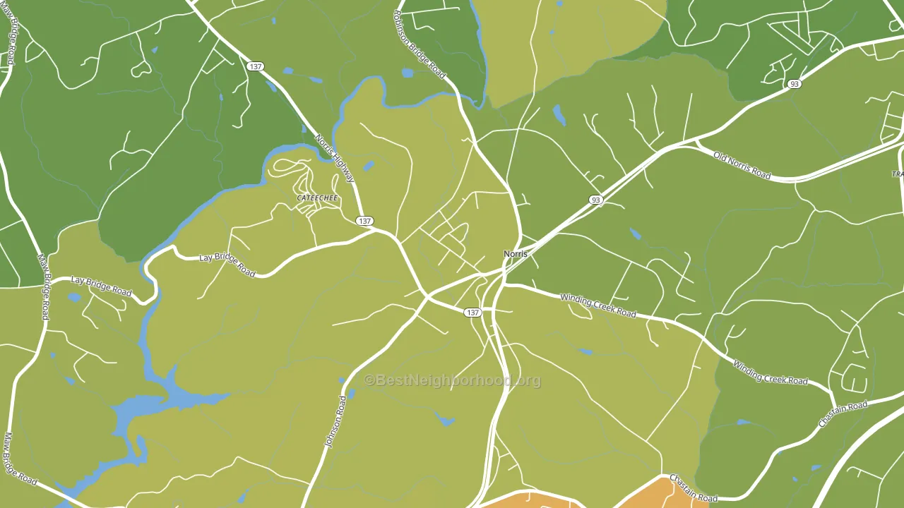 29667, SC block-group voter-turnout map