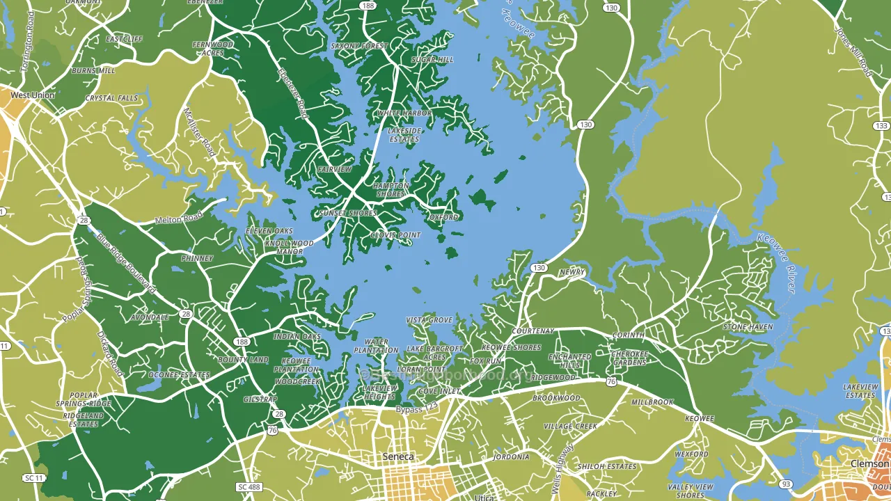 29672, SC block-group voter-turnout map