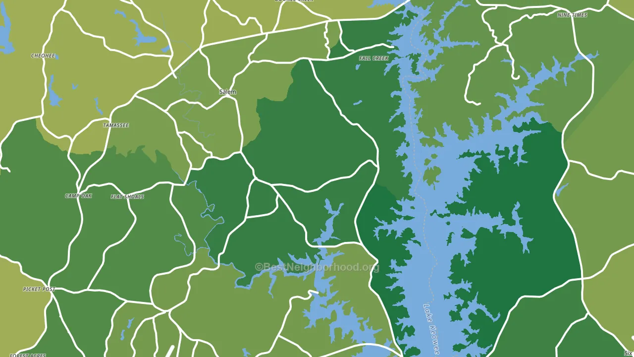 29676, SC block-group voter-turnout map