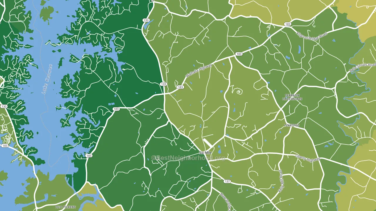 29682, SC block-group voter-turnout map