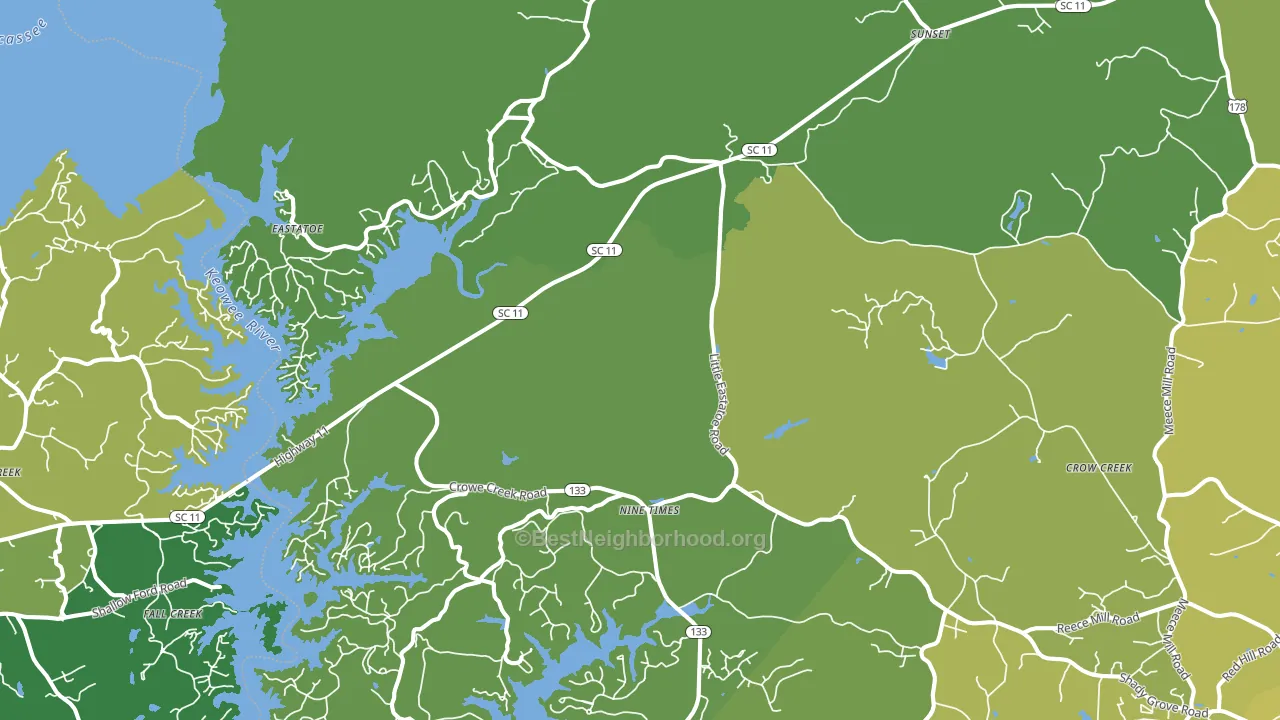 29685, SC block-group voter-turnout map