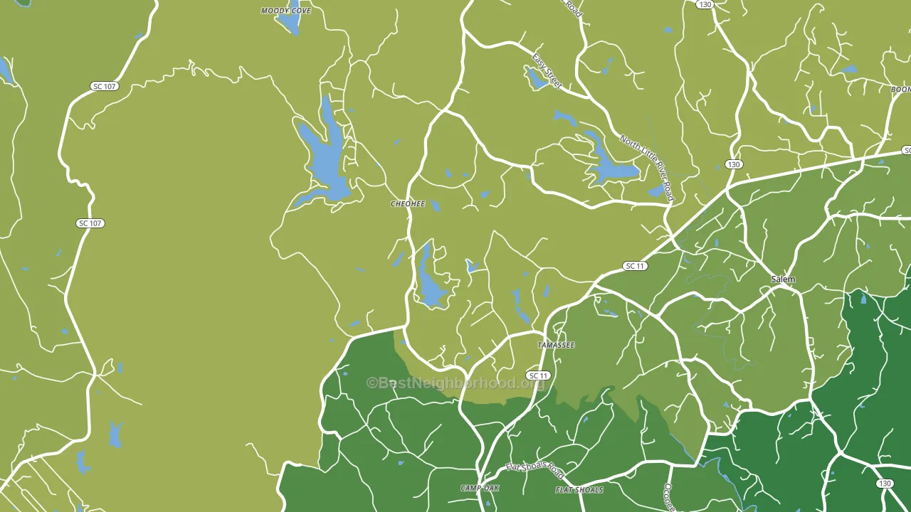 29686, SC block-group voter-turnout map
