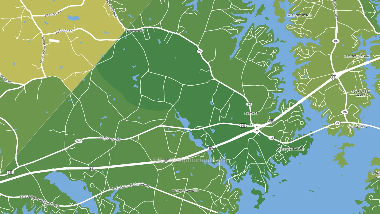 29689, SC block-group voter-turnout map