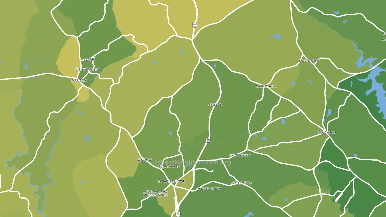 29690, SC block-group voter-turnout map