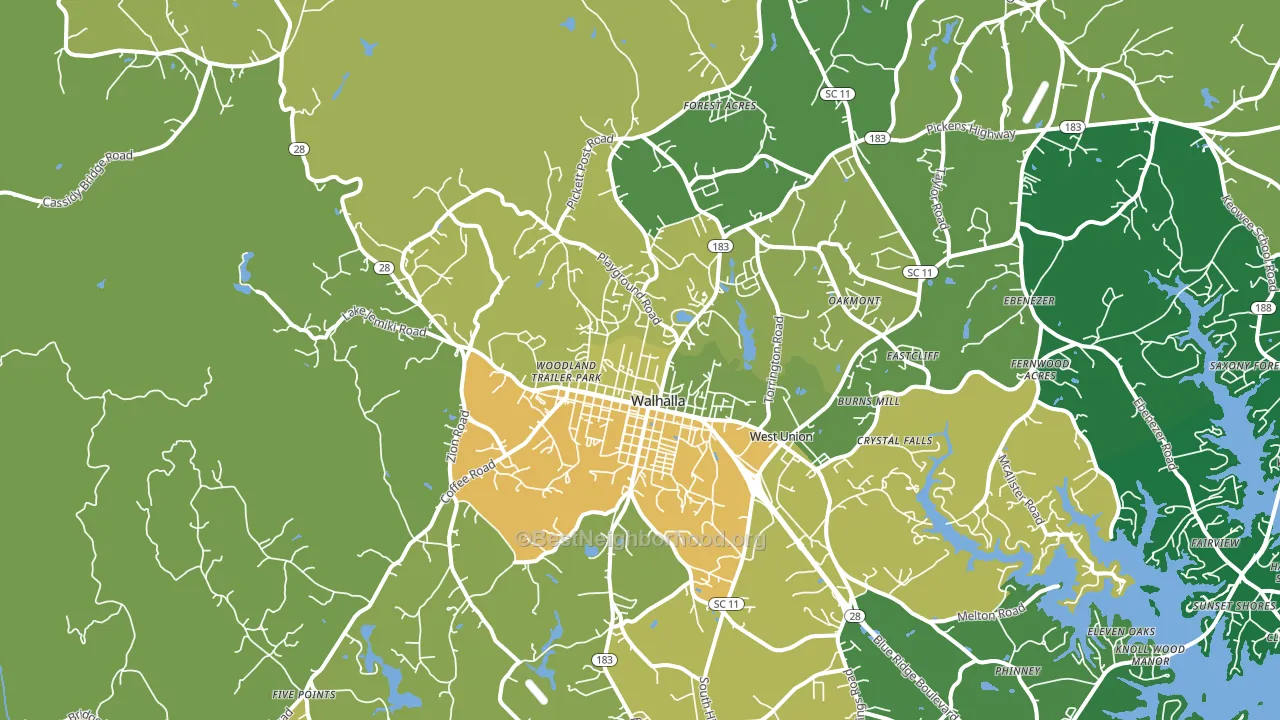 29691, SC block-group voter-turnout map