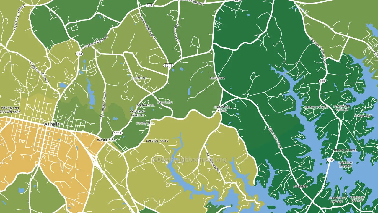 29696, SC block-group voter-turnout map