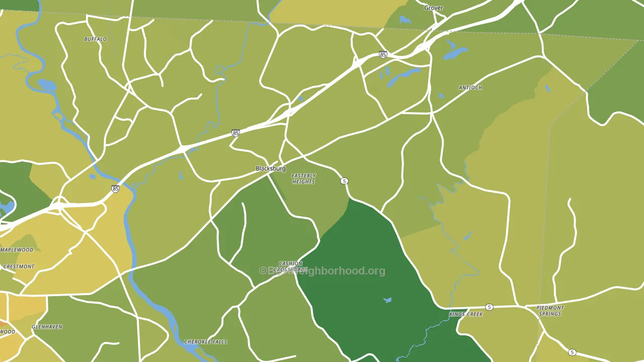29702, SC block-group voter-turnout map