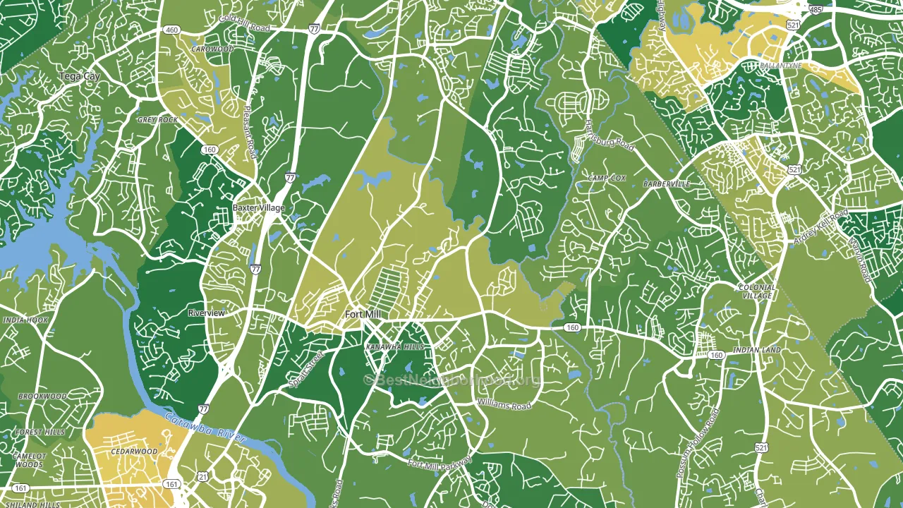 29715, SC block-group voter-turnout map