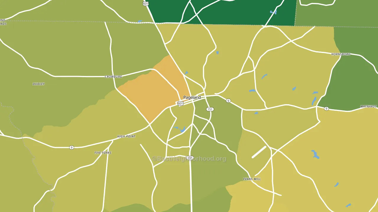 29728, SC block-group voter-turnout map