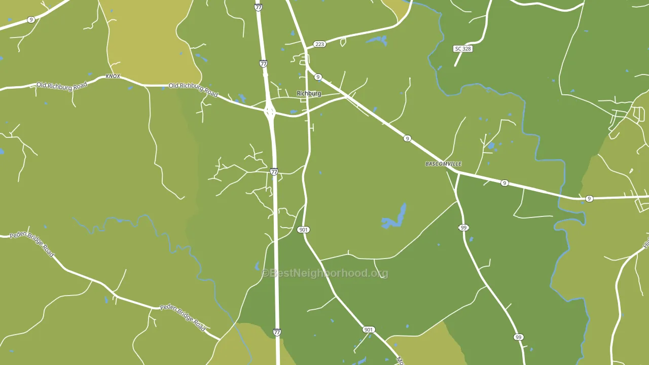 29729, SC block-group voter-turnout map
