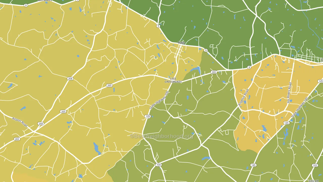 29741, SC block-group voter-turnout map