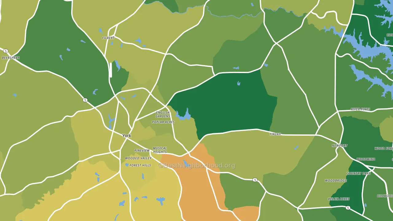 29745, SC block-group voter-turnout map