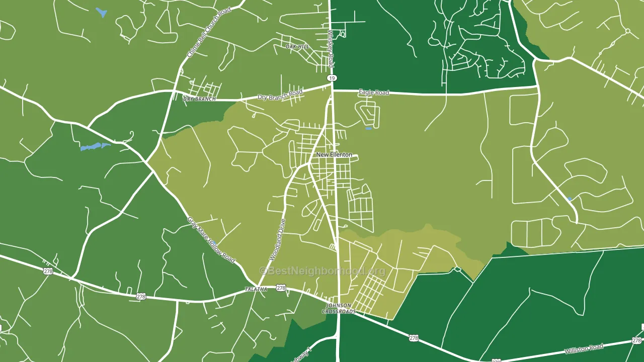 29809, SC block-group voter-turnout map